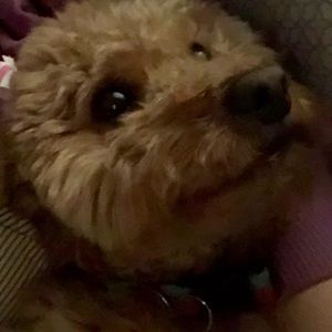 Meet your Posher, Anna